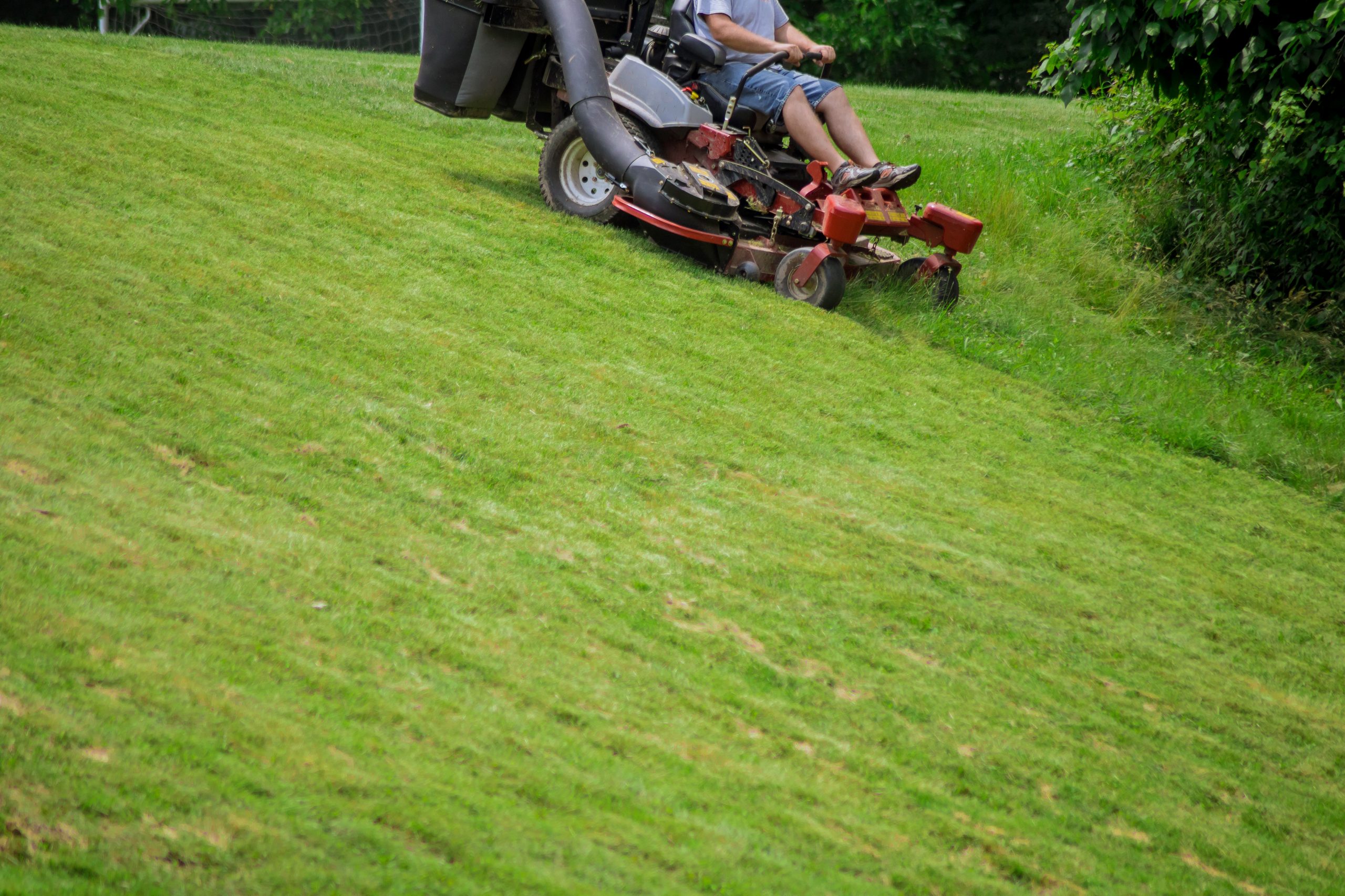 83802198_168605941225275_2802224981046460416_o Lawn Mowing Srevices in Northern Vermont
